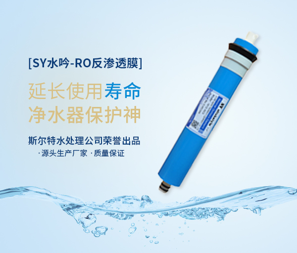 斯爾特：反滲透膜在技術上有哪些優點和缺點？